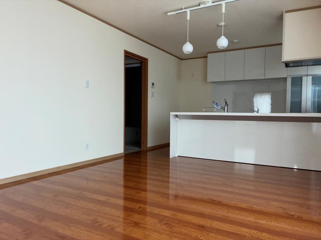 未入居戸建　とん田西町217番地64、217番地69 内観