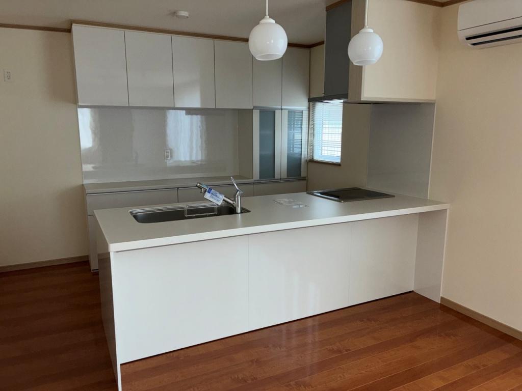 未入居戸建　とん田西町217番地64、217番地69 内観