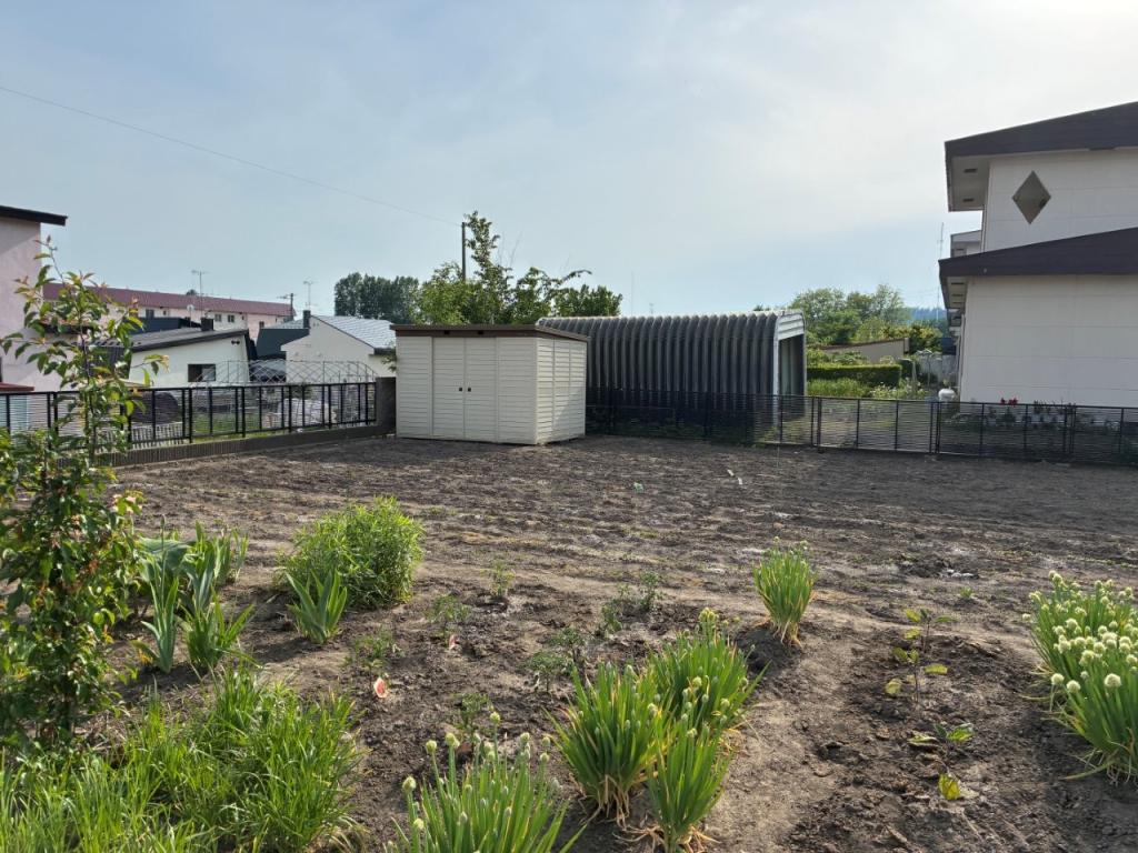 中古戸建　美山町南８丁目45番地38 内観